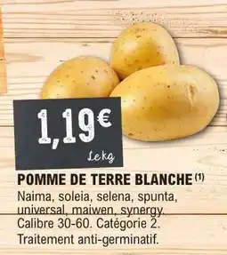 E.Leclerc POMME DE TERRE BLANCHE offre