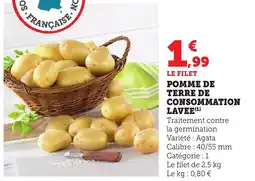 Bi1 Pomme de terre de consommation lavee offre
