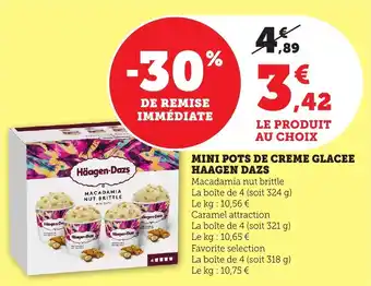 Bi1 Mini pots de creme glacee haagen dazs offre