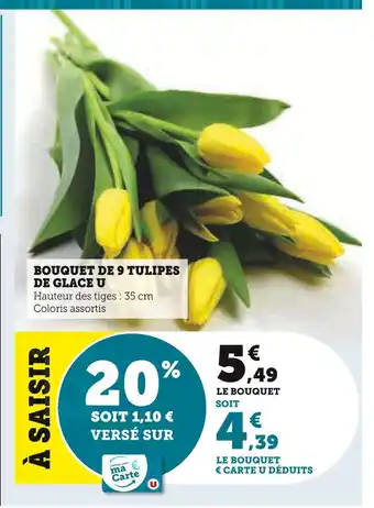 Super U U Bouquet de 9 tulipes de glace offre