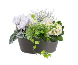 Jardiland Coupe fleurie offre