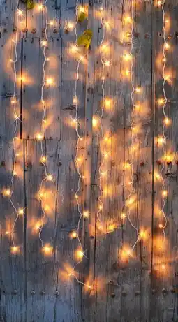 Jardiland Rideau lumineux offre