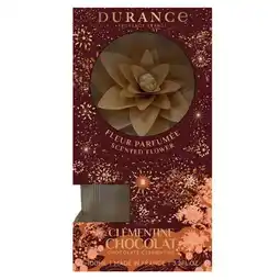 Jardiland Fleur parfumée Clémentine et chocolat offre