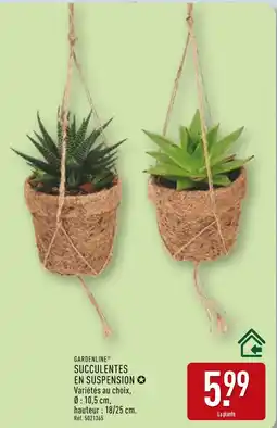 ALDI GARDENLINE SUCCULENTES EN SUSPENSION offre