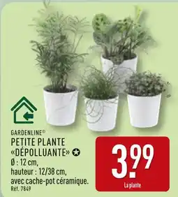 ALDI Gardenline Petite plante dépolluante offre