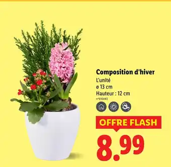 Lidl Composition d'hiver offre