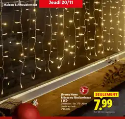 Lidl Livarno Home Rideau ou filet lumineux à LED offre