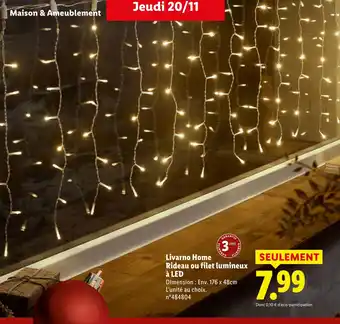 Lidl Livarno Home Rideau ou filet lumineux à LED offre