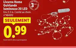 Lidl LIVARNO HOME Guirlande lumineuse 20 led offre