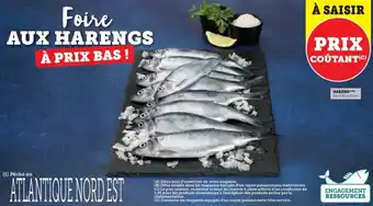 Hyper U Hareng offre