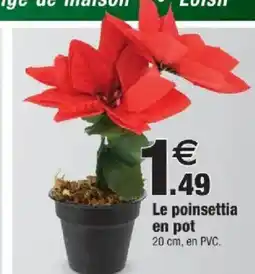 Bazarland Le poinsettia en pot offre