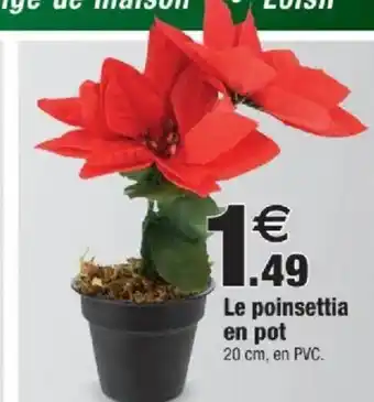 Bazarland Le poinsettia en pot offre
