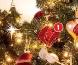 Bazarland La suspension bi-matières offre