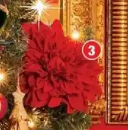 Bazarland Dahlia sur clip offre