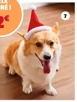 Gifi Bonnet pour chien offre