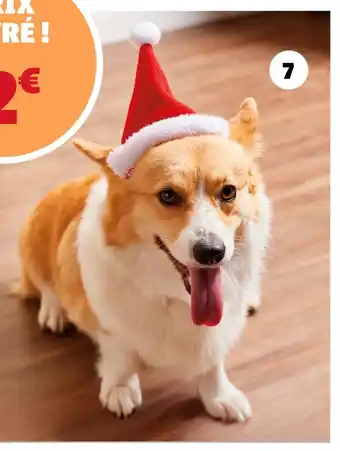 Gifi Bonnet pour chien offre