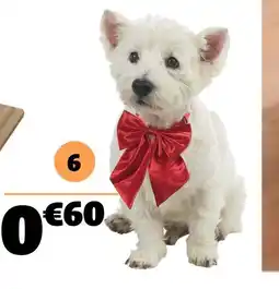 Gifi Noeud papillon pour chien offre