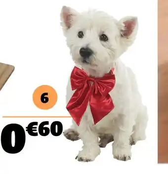 Gifi Noeud papillon pour chien offre