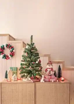 Jardiland Ecloz boîte bonhomme de neige ecloz offre