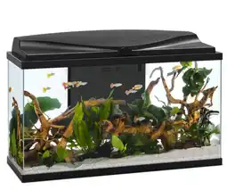 Jardiland Pure family aquarium tropical 80 pur pure family offre