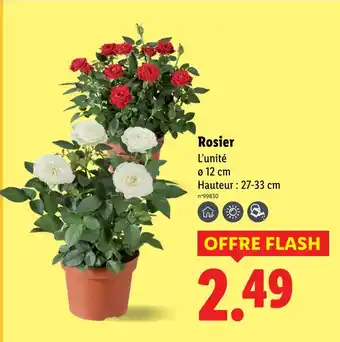 Lidl Rosier offre