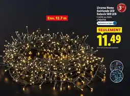 Lidl Livarno home guirlande led galaxie 580 led offre