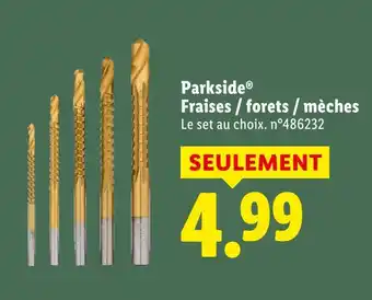 Lidl Parkside fraises / forets / mèches offre
