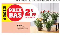 Maximarché Rosier offre