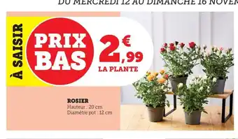 Maximarché Rosier offre