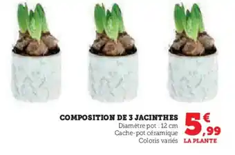 Super U Composition de 3 jacinthes offre