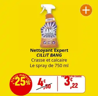 Coccinelle Supermarché CILLIT BANG Nettoyant Expert offre