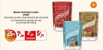 Coccinelle Supermarché LINDT Boule chocolat Lindor offre