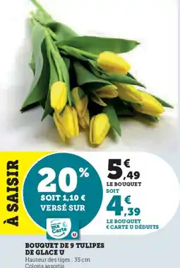 Hyper U Bouquet de 9 tulipes de glace u offre