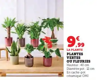 Hyper U Plantes vertes ou fleuries offre