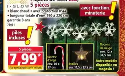 Norma I-GLOW Piquets de Noël LED, 5 pièces offre