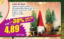 Norma Lutin de Noël offre