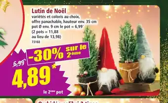 Norma Lutin de Noël offre