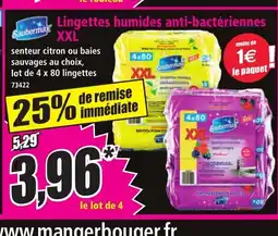 Norma SAUBERMAX Lingettes humides anti-bactériennes XXL offre