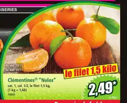 Norma Clémentines Nules offre