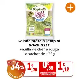 Coccinelle Supermarché BONDUELLE Salade prête à l'emploi offre