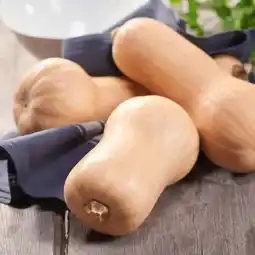 Carrefour Butternut filiere qualite carrefour offre