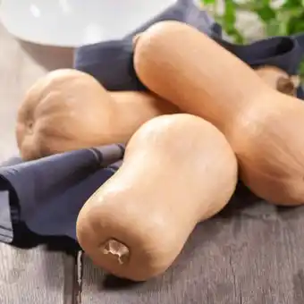 Carrefour Butternut filiere qualite carrefour offre