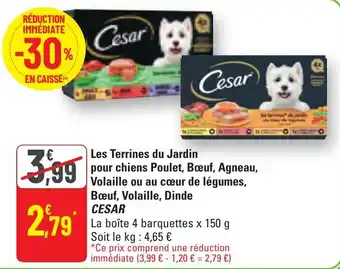 G20 Les terrines du jardin pour chiens poulet boeuf agneau volaille ou au cœur de légumes boeuf volaille dinde cesar offre