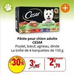 Coccinelle Supermarché CESAR Pâtée pour chien adulte offre