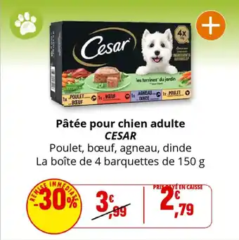 Coccinelle Supermarché CESAR Pâtée pour chien adulte offre
