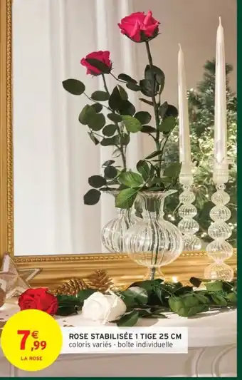 Intermarché Rose stabilisée 1 tige offre