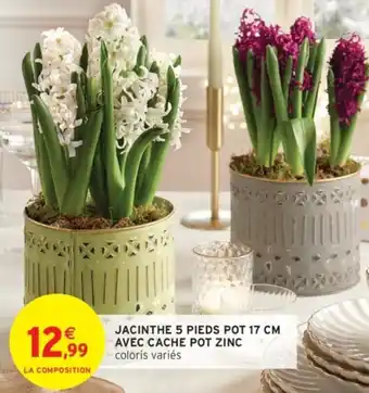 Intermarché Jacinthe 5 pieds pot offre