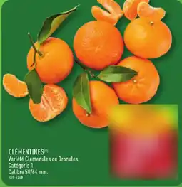 ALDI Clémentines offre