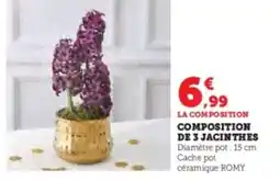 Super U Composition composition de 3 jacinthes offre
