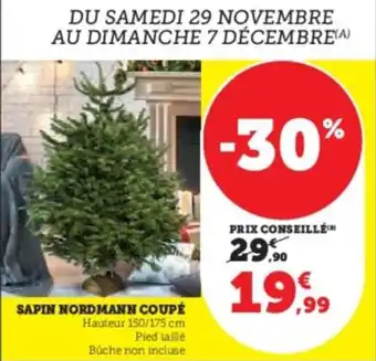 Super U Sapin nordmann coupé offre